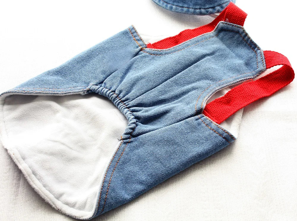 Cute Denim Dog Dress with Embroidered Flowers and Hat Fashionable Pet Outfit Summer Walks Outdoor Adventures