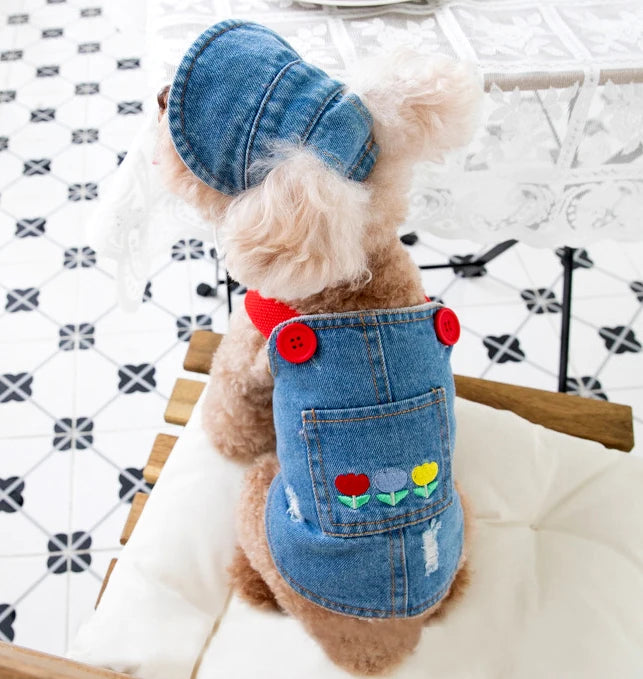Cute Denim Dog Dress with Embroidered Flowers and Hat Fashionable Pet Outfit Summer Walks Outdoor Adventures