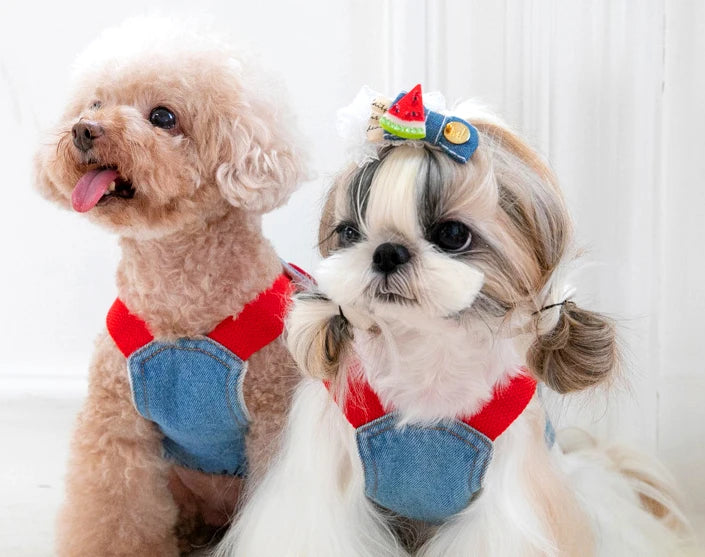 Cute Denim Dog Dress with Embroidered Flowers and Hat Fashionable Pet Outfit Summer Walks Outdoor Adventures