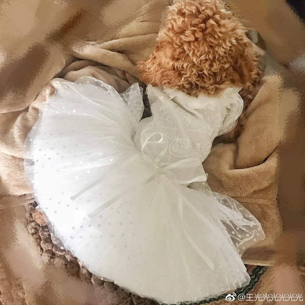 Handmade Dog Clothes Wedding Dress Pet Supplies Luxury Lace Princess One Piece 3D Petals Collar 12 Layers Tulle Skirt Holiday