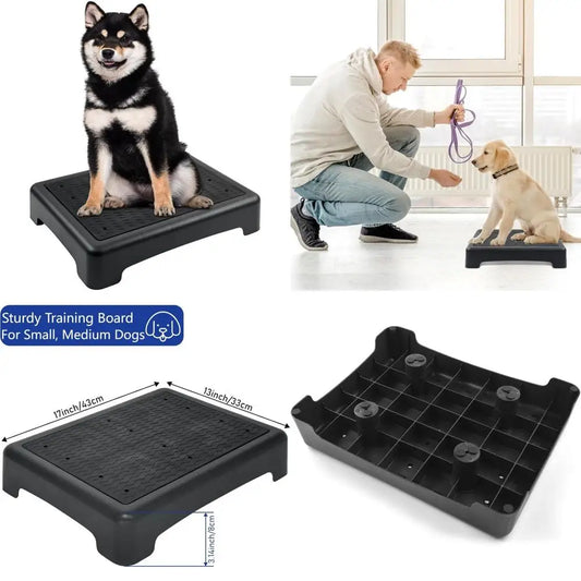 Dog Training Place Board with Non-Skid Surface, Dog Platform for Training, Portable Dog Agility Platform,Dog Training Stand, Dog