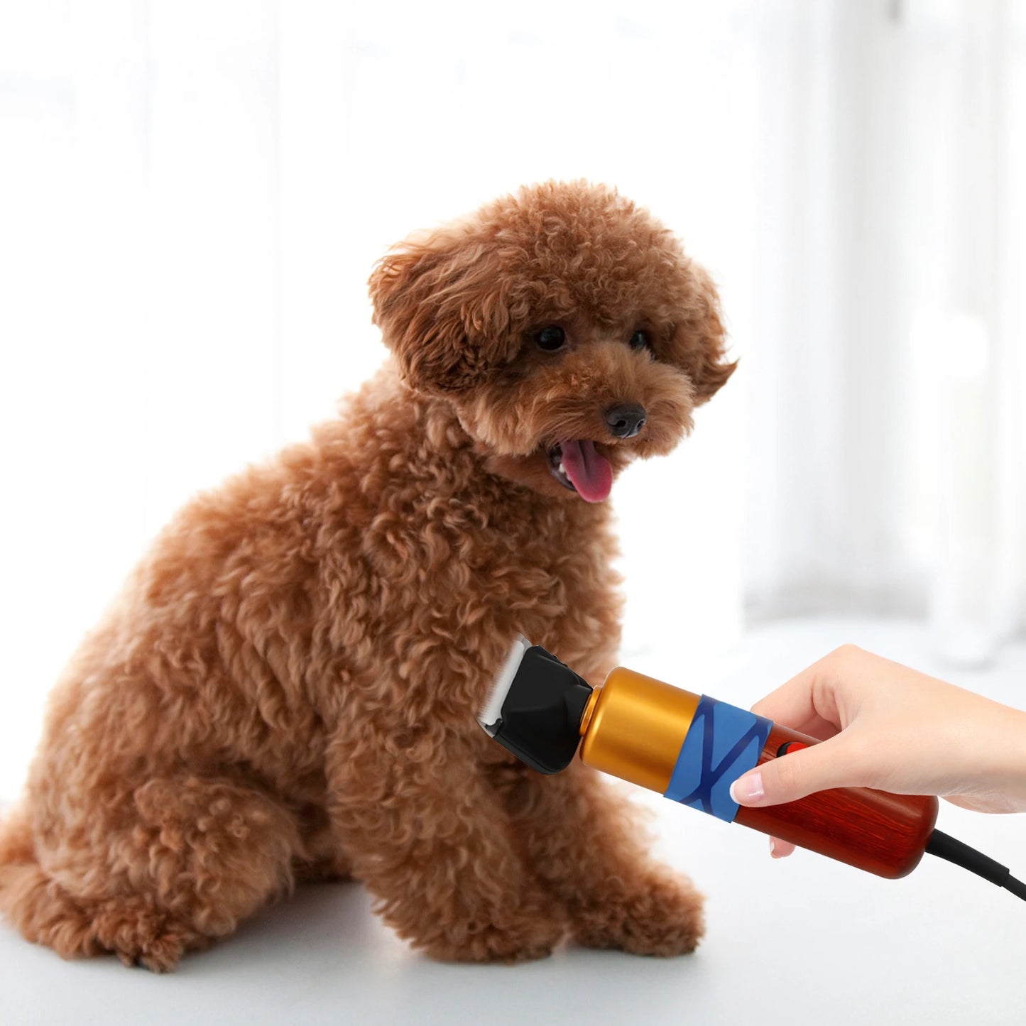 Professional Pet Clipper 6600RPM Low Noise 60dB 4 Comb Sizes Dog Clipper Cat Grooming Tool for Pets with PP Toolbox