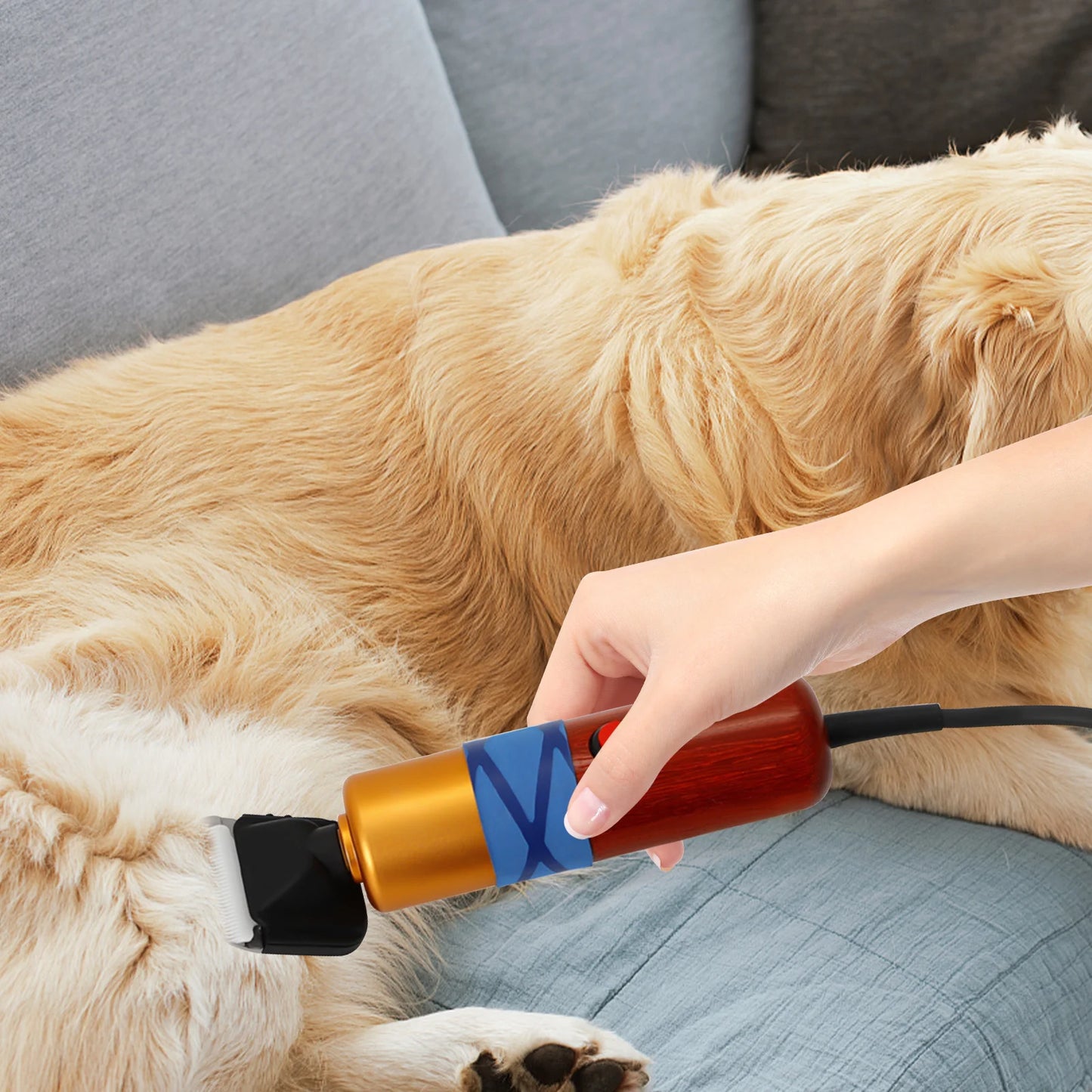 Professional Pet Clipper 6600RPM Low Noise 60dB 4 Comb Sizes Dog Clipper Cat Grooming Tool for Pets with PP Toolbox