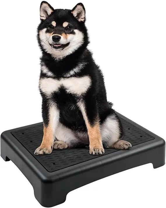 Dog Training Place Board with Non-Skid Surface, Dog Platform for Training, Portable Dog Agility Platform,Dog Training Stand, Dog