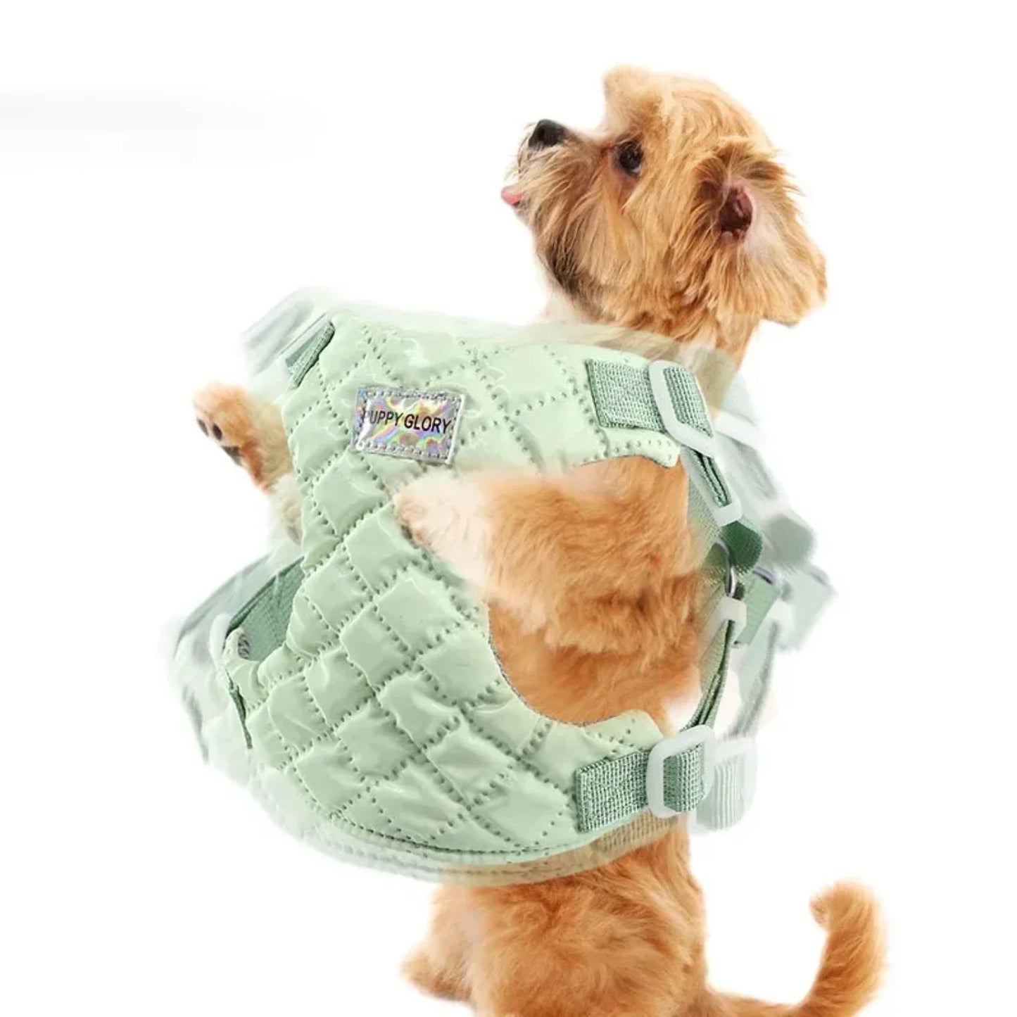 Waterproof Dog Harness Puppy Dog Vest Harness Small Medium Dogs Adjustable Dog Kitten Cat Chest Strap Yorkie Pet Accessories