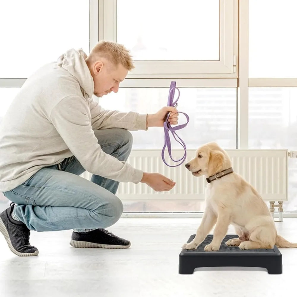 Dog Training Place Board with Non-Skid Surface, Dog Platform for Training, Portable Dog Agility Platform,Dog Training Stand, Dog