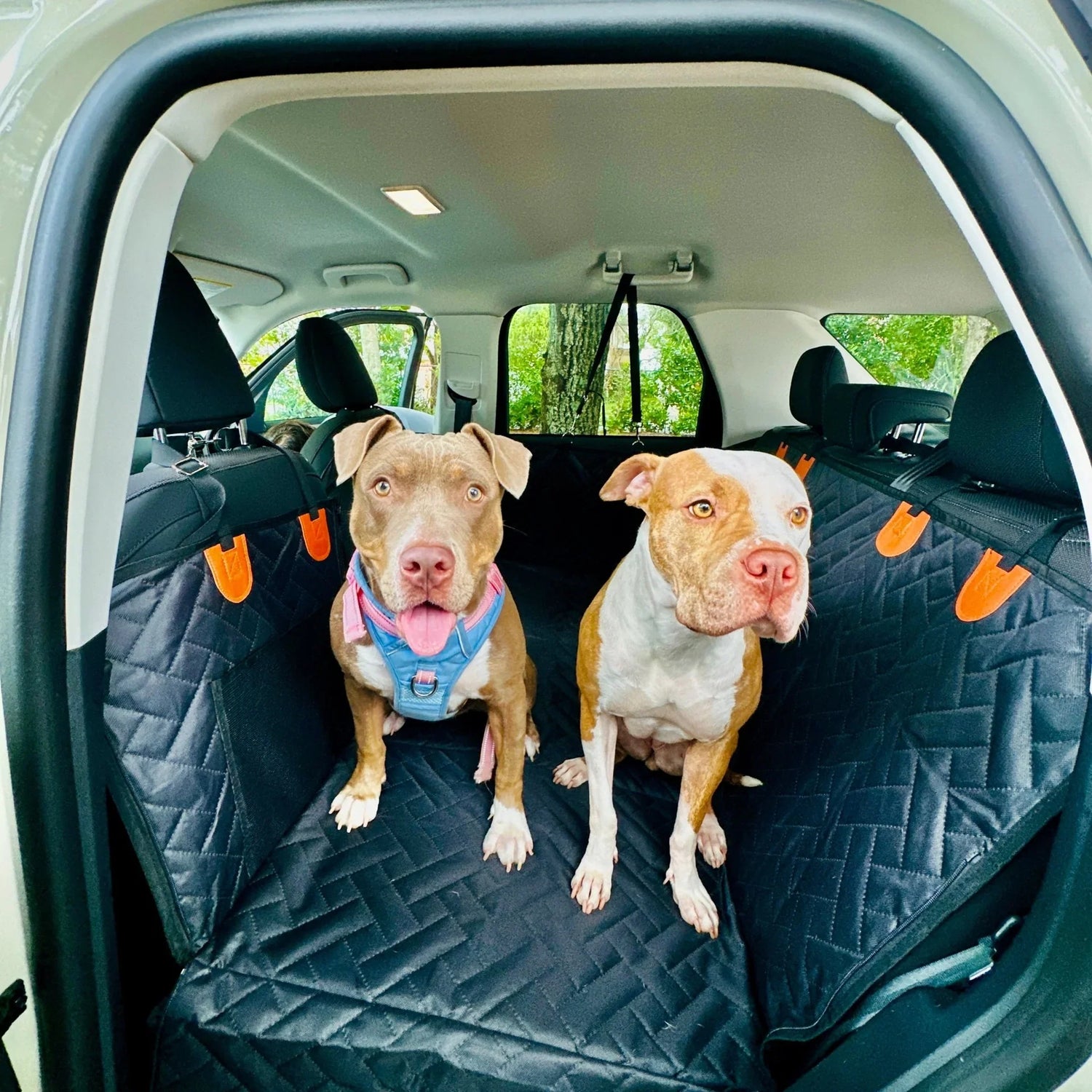 Pet Car Seat Cover
