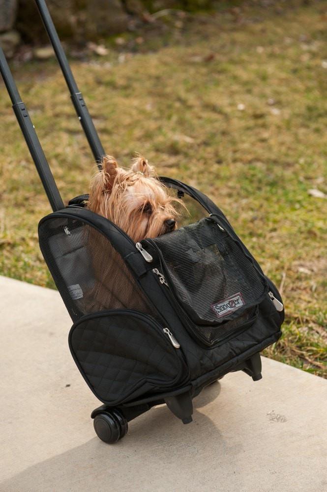 Pet Carrier