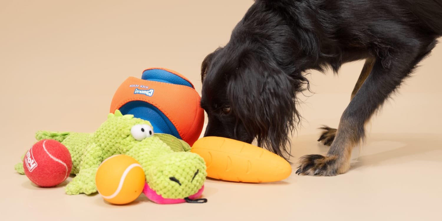 Pet Toys