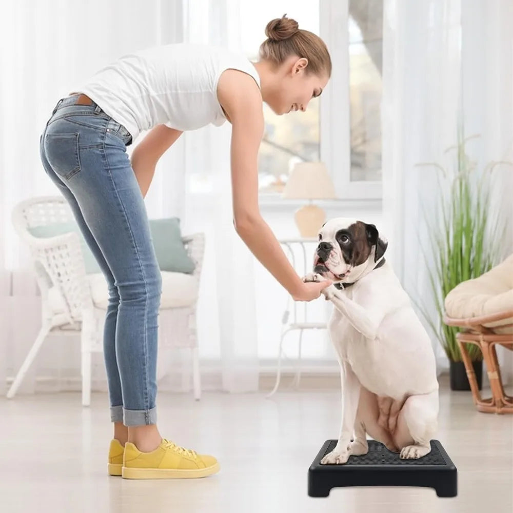 Dog Training Place Board with Non-Skid Surface, Dog Platform for Training, Portable Dog Agility Platform，Dog Training Stand, Dog
