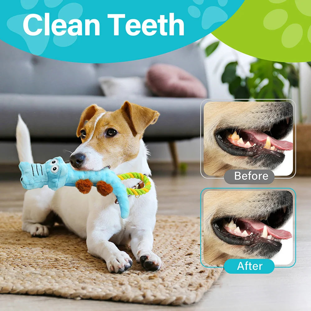 Pets Dog Squeaky Toy, 2 Pack, Tug of War Dog Toys for Dogs Interactive Plush Puppy Chew Toy Plush Sound Squeak Toys Pet Supplies